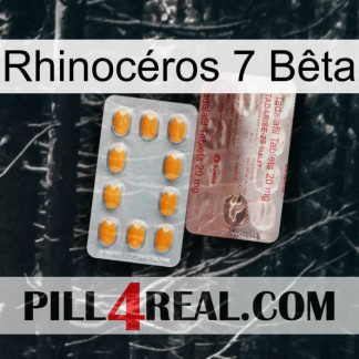 Rhinocéros 7 Bêta new13